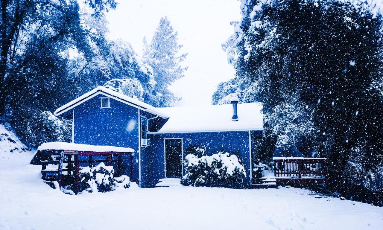 Villa New! Cozy & Secluded House W/Deck - Near Yosemite! à Tuolumne Extérieur photo